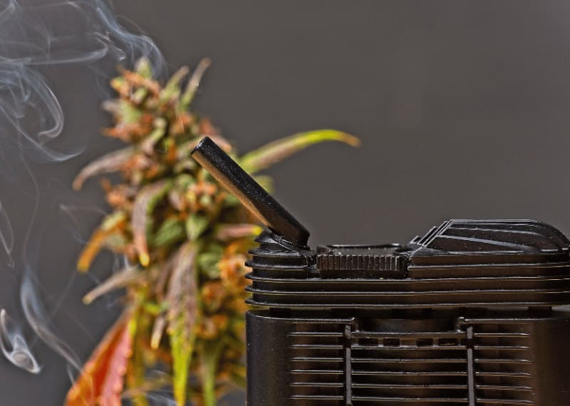 Los 10 mejores vaporizadores portátiles