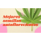 Mejores semillas autoflorecientes