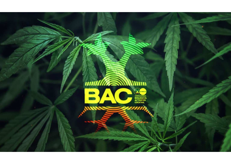 Tabla Cultivo BAC 2025