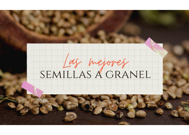 las mejores semillas a granel