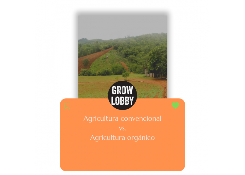 Agricultura convencional vs agricultura orgánica