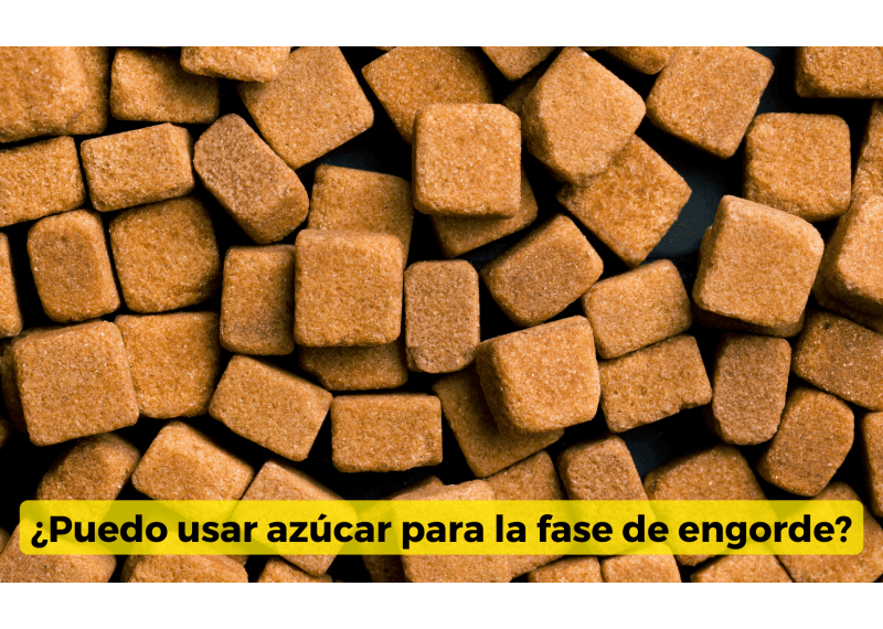 Azúcar para engordar cogollos