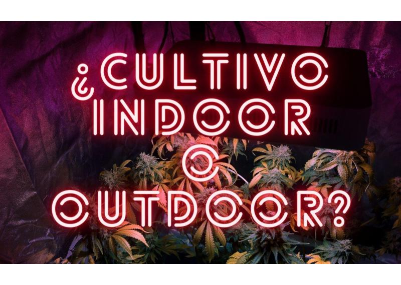 Cultivo indoor Vs. Cultivo outdoor