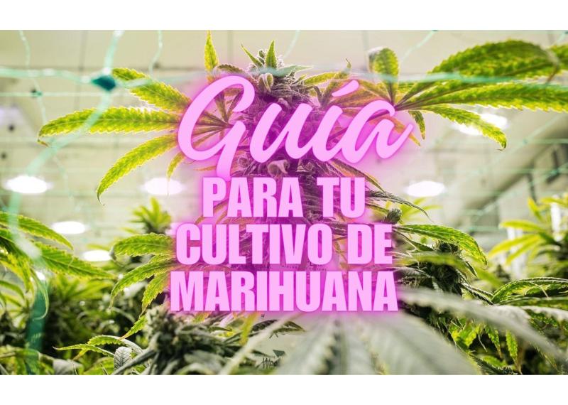 Guía para el Cultivo de Marihuana Interior