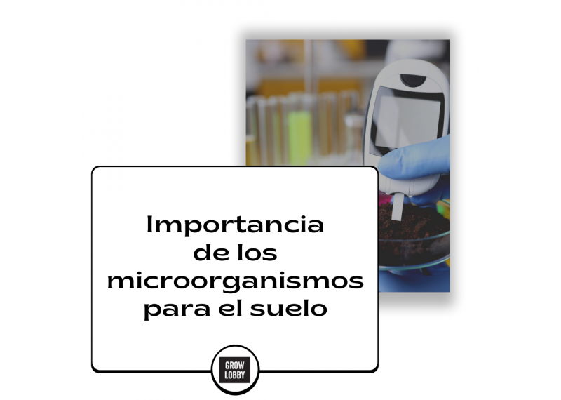 Importancia de los microorganismos para el suelo