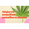 Mejores semillas autoflorecientes