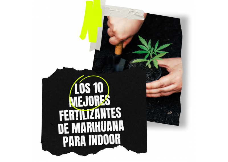 mejores fertilizantes indoor marihuana