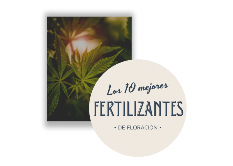 Los 10 mejores fertilizantes de floración