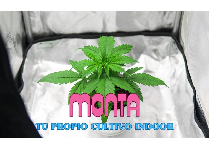 Monta tu cultivo indoor