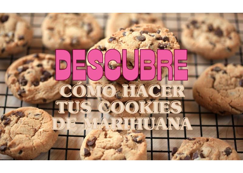 Descubre cómo hacer galletas de marihuana en poco tiempo