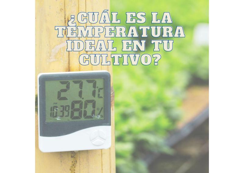 Temperatura y humedad ideal para la marihuana de interior