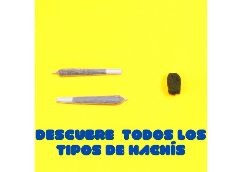 Tipos de hachís