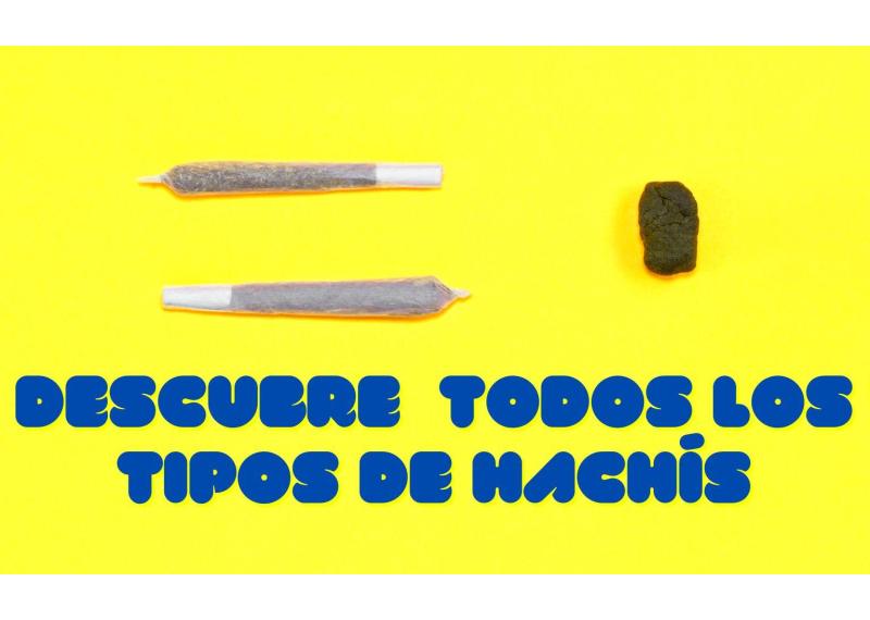 Tipos de hachís