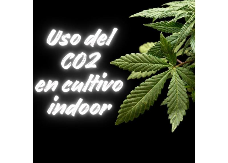 Uso del CO2 en cultivo indoor