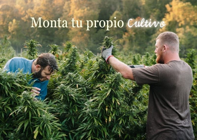 Monta tu propio cultivo