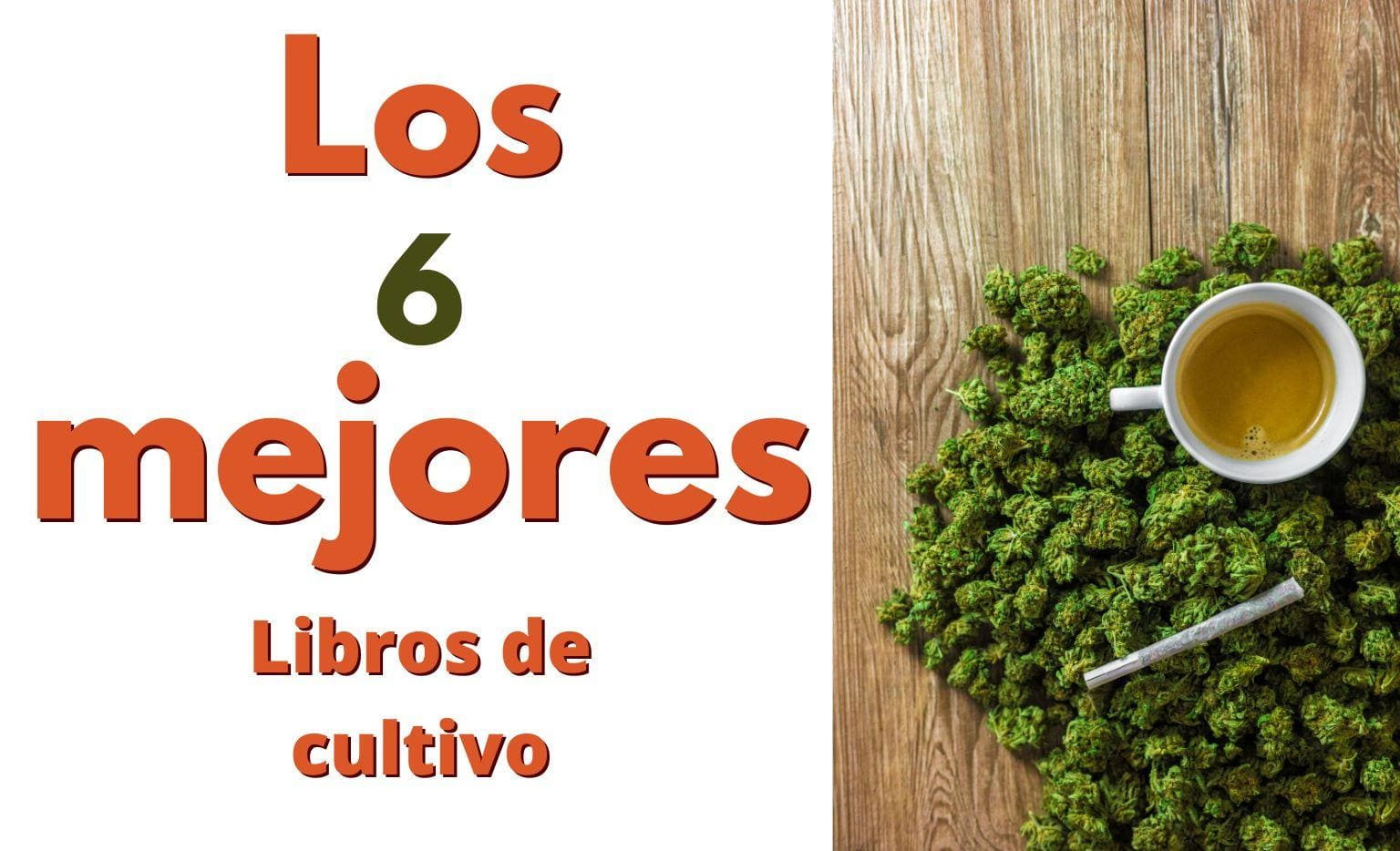 Los 6 mejores libros sobre cultivo de Marihuana