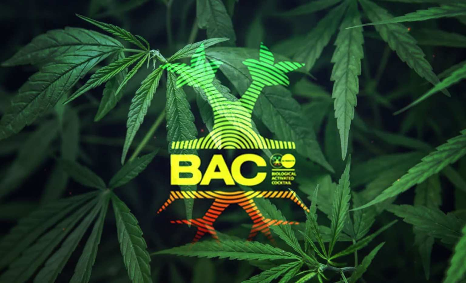 Tabla Cultivo BAC 2025