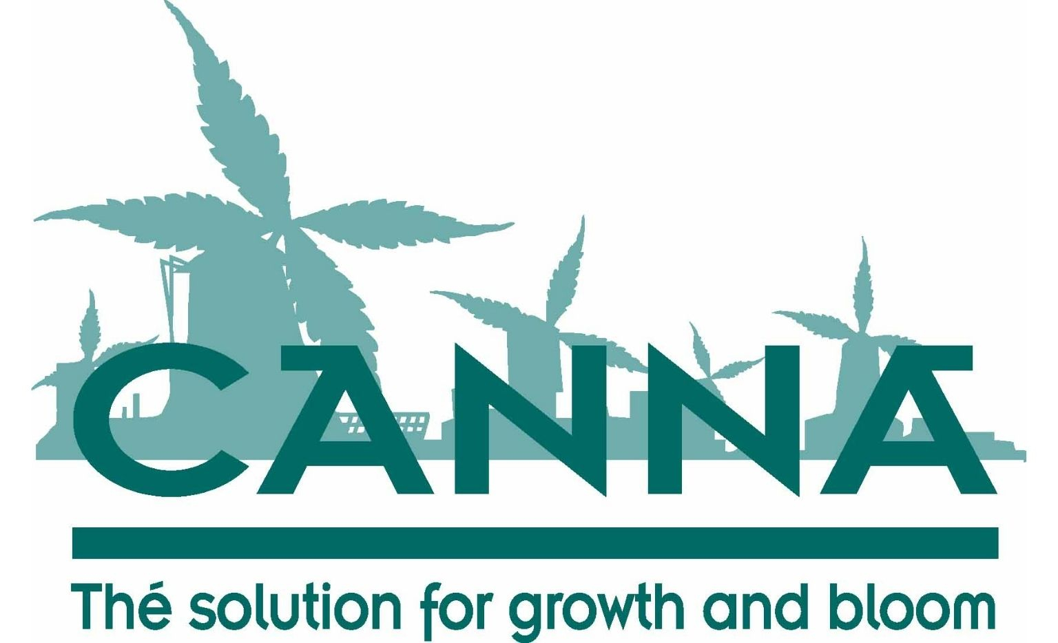 Tabla Cultivo Canna 2025