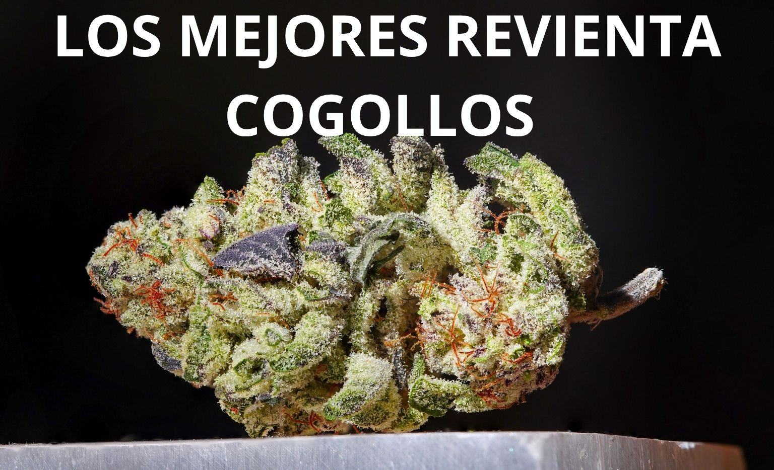 Los mejores revienta cogollos