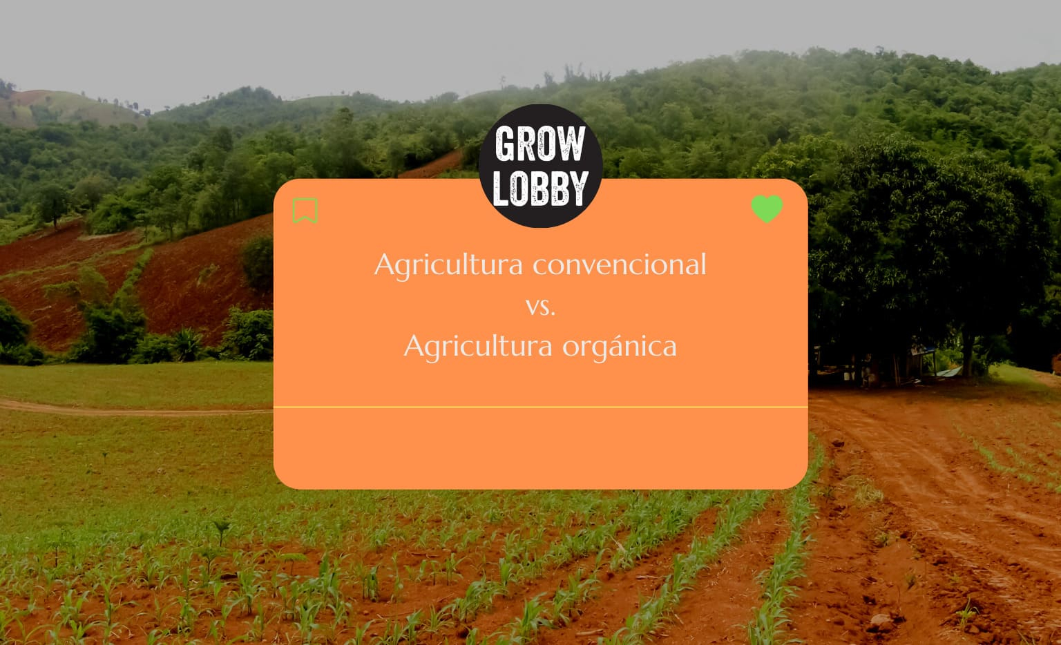 Agricultura convencional vs agricultura orgánica