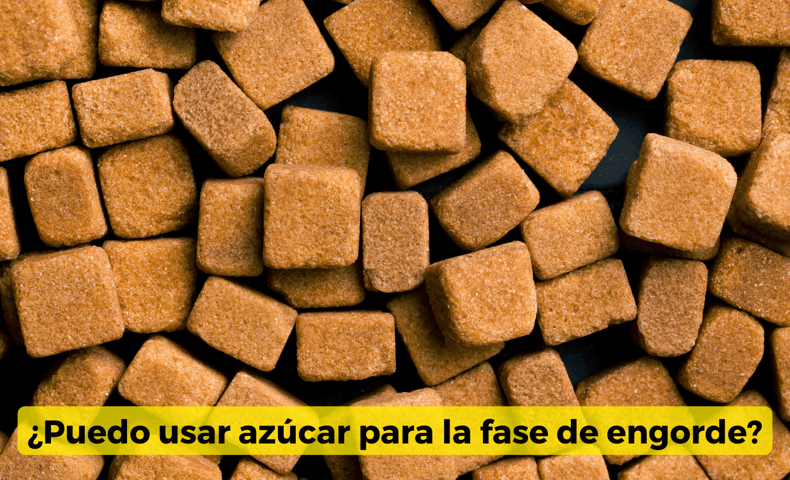 Azúcar para engordar cogollos