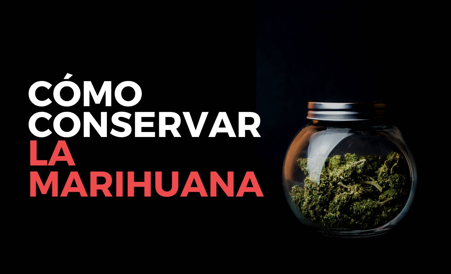 Como conservar la marihuana