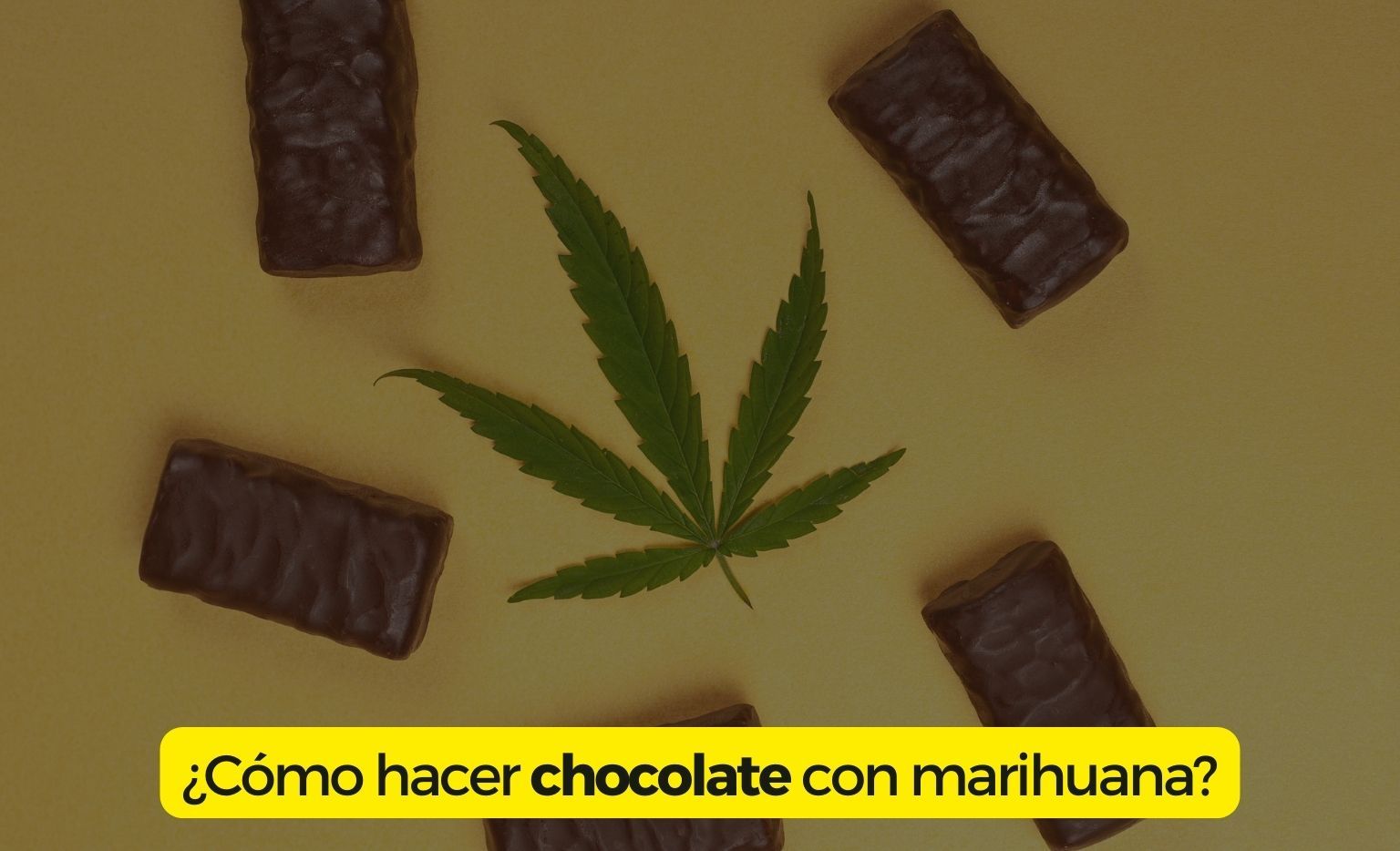 Cómo hacer chocolate de marihuana