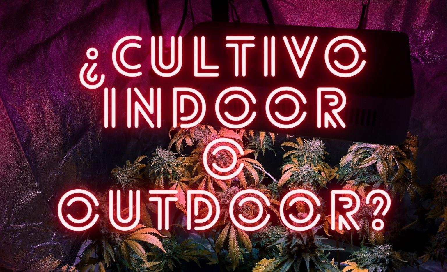 Cultivo indoor Vs. Cultivo outdoor
