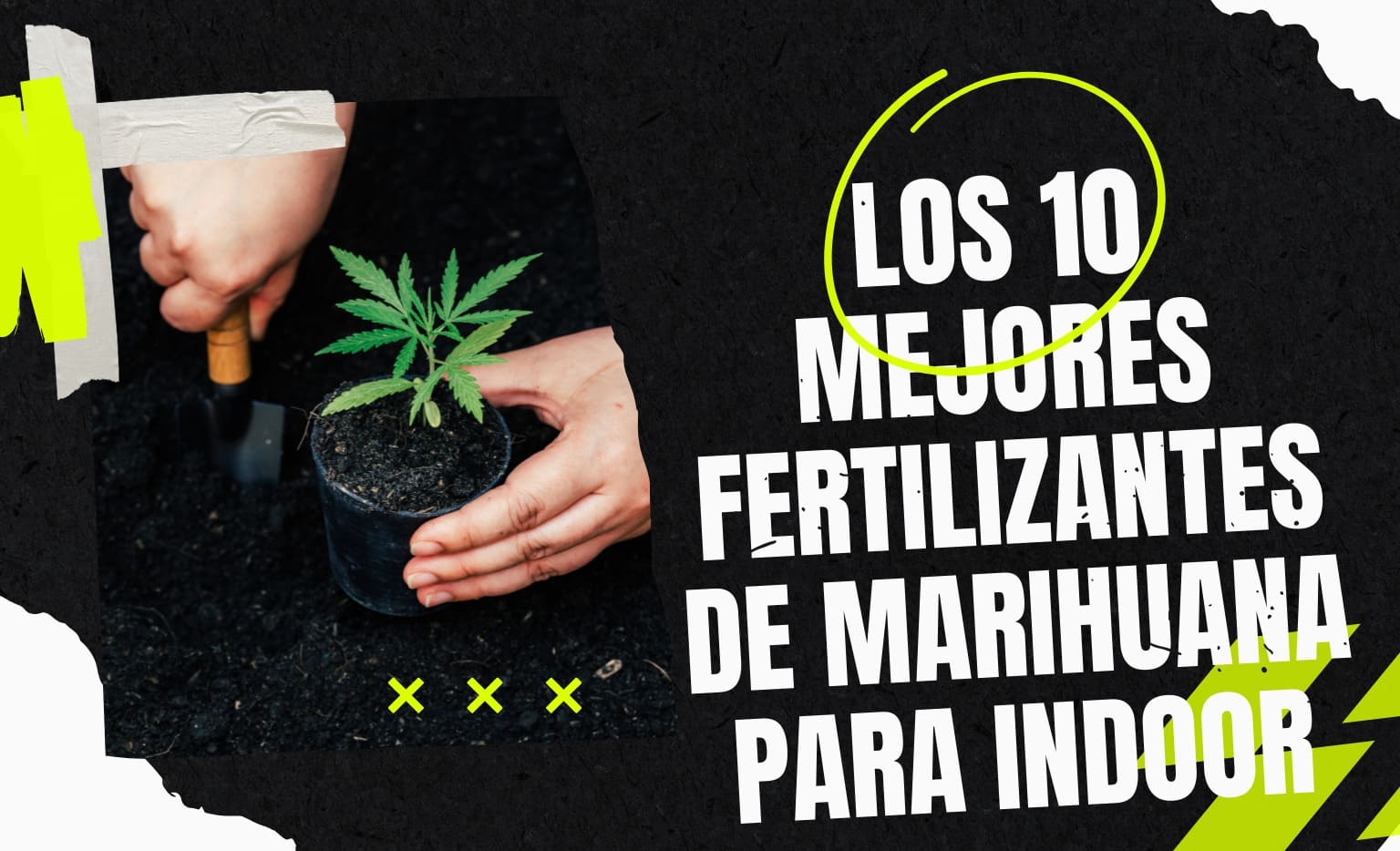 10 mejores fertilizantes para indoor