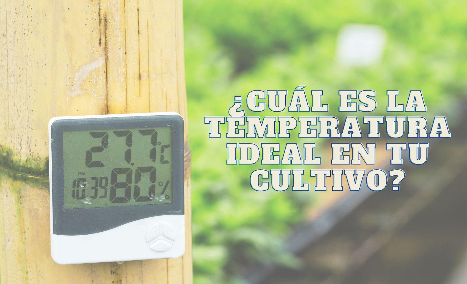 Temperatura y humedad ideal para la marihuana de interior