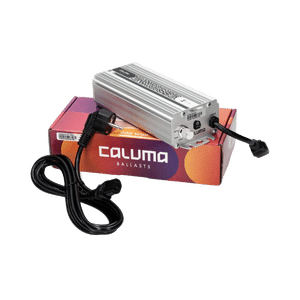 600W Ballasts