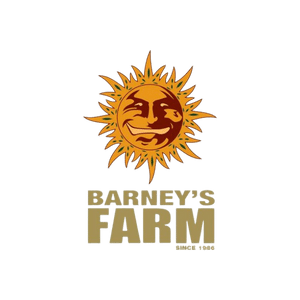 Barney's Farm Autoflorecientes
