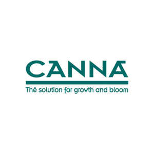 Canna
