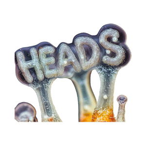 Heads Research
