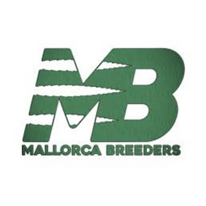 Mallorca Breeders