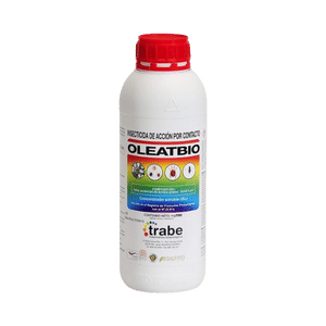 Insecticides for whitefly