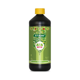 Alga C de Atami
