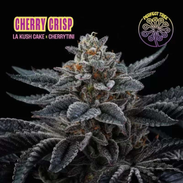 Cherry Crisp de Perfect Tree