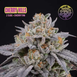 Cherry Hills de Perfect Tree