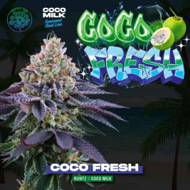 Coco Fresh (Runtz x Coco Milk)