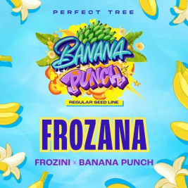 Frozana (Frozini x Banana Punch)