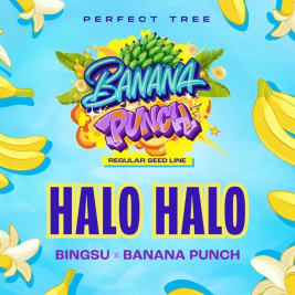 Halo Halo Regular de Perfect Tree