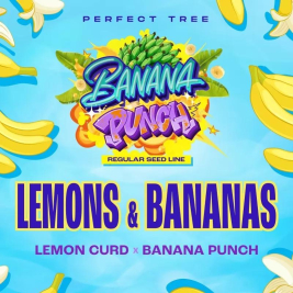Lemons & Bananas (Lemon Curd x Banana Punch)
