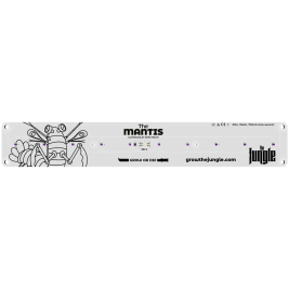 mantis_frontal.jpg