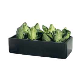 Mini Grow Bed Contenedor para Huerto 115L (97,5x51x25cm)