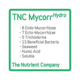 mycorrhydro-tnc-micorrizas-y-bacterias1.jpg