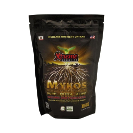 mykos.jpg