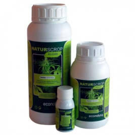 naturscrop-algae.jpg