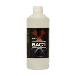 pH Up BAC