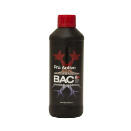 Pro Active
